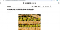 东南亚：中国叙事 才刚起头